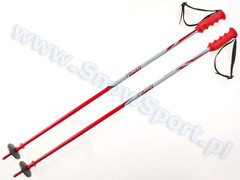 Kijki zjazdowe Junior Komperdell Race Carv Gray/Red
